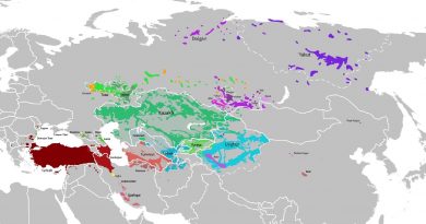 DEVLETLERİN BİRLEŞİK ÖRGÜTLENMELER KURMALARI VE BUNA GÖRE TÜRK BİRLİĞİ – TÜRK BİRLİĞİ’NİN ÖNEMİ