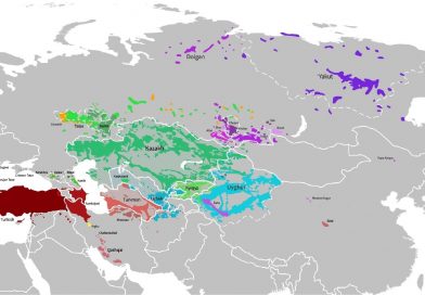 DEVLETLERİN BİRLEŞİK ÖRGÜTLENMELER KURMALARI VE BUNA GÖRE TÜRK BİRLİĞİ – TÜRK BİRLİĞİ’NİN ÖNEMİ